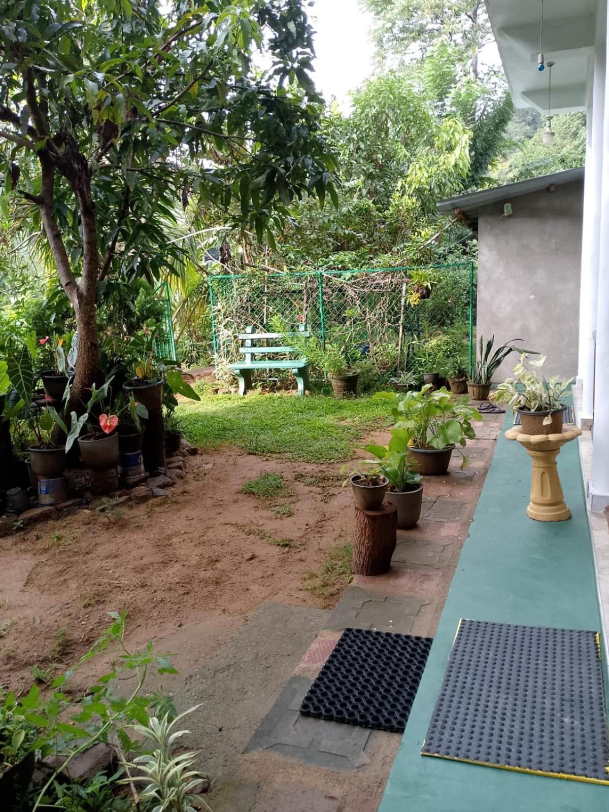 엘라 Pasan Guest B&B 외부 사진